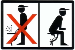 Знак T776 Правила пользования туалетом - по маленькому (Пленка 100х200)