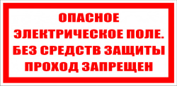 T23/S13 Опасное электрическое поле. Без средств защиты проход запрещен (Пластик 100 х 200)