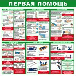 ST09810001000Prgi (1)