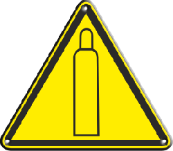 w19