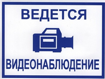 Знак T317 "Ведется видеонаблюдение" (Пленка 150х200)